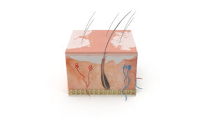 Diagnosis and treatment of skin, hair and nail diseases in Izmir by a dermatologist